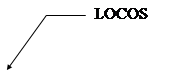 Выноска 3 (без границы): LOCOS